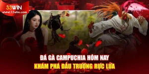 Đá Gà Campuchia Hôm Nay - Khám Phá Đấu Trường Rực Lửa