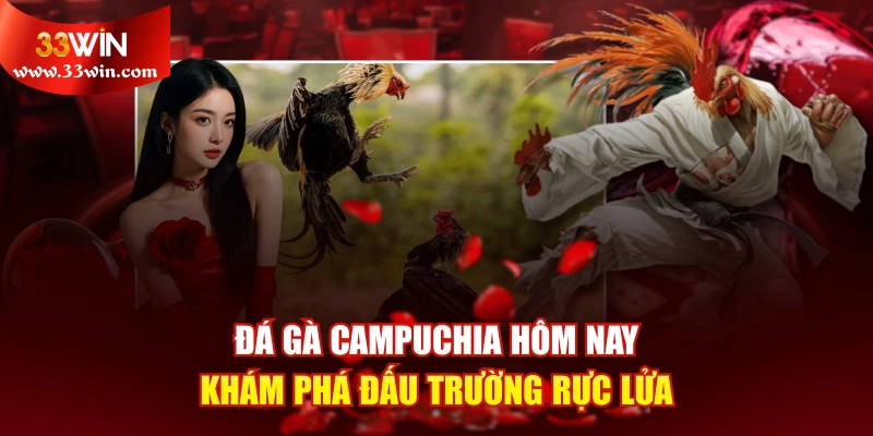 Đá Gà Campuchia Hôm Nay - Khám Phá Đấu Trường Rực Lửa
