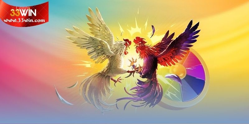 Khái quát về nền tảng đá gà Thomo trực tuyến