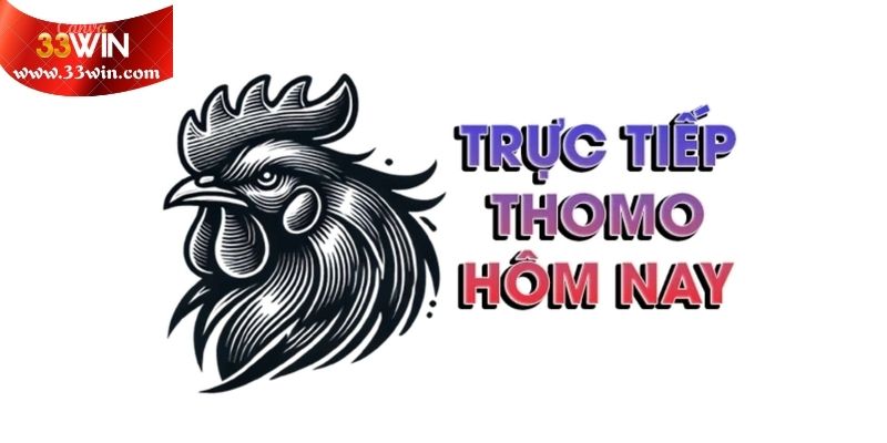 Những khía cạnh làm nên sức hấp dẫn của trường đấu