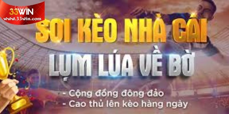Quy tắc soi chiếu dữ liệu cực nhanh